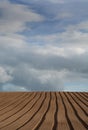 Ploughed field