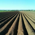 Ploughed field. Fresh furrows of brown earth stretch along. In the distance, you can see the silhouettes of houses and