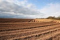 Ploughed Field Furrows Royalty Free Stock Photo