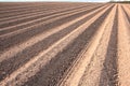 Ploughed Field Furrows Royalty Free Stock Photo