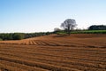 Ploughed field