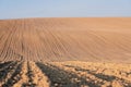 Ploughed field prepared for sowing. A plowed field with hills