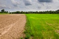 Ploughed field Royalty Free Stock Photo