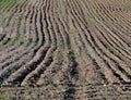 Ploughed field showing furrows and agricultural soil pattern Royalty Free Stock Photo