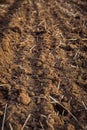 Ploughed field, soil close up, agricultural background Royalty Free Stock Photo