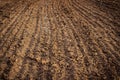 Ploughed field, soil close up, agricultural background Royalty Free Stock Photo