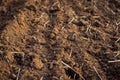 Ploughed field, soil close up, agricultural background Royalty Free Stock Photo