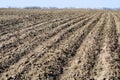 Ploughed field, soil close up. Royalty Free Stock Photo