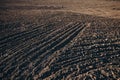 The ploughed field. Sowing preparation fertile land Royalty Free Stock Photo