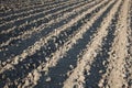 Ploughed field at spring