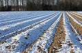 Ploughed field in winter with snow Royalty Free Stock Photo