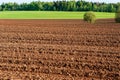 ploughed field, wood and blue sky at sunset. Royalty Free Stock Photo