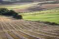 Ploughed Fields at Queens View in Scotland. Royalty Free Stock Photo