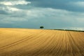 Ploughed fields in spring Royalty Free Stock Photo