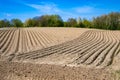 Furrows in spring, agrarian ploughed field with curved and straight lines under blue sky.