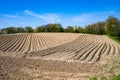 Furrows in spring, agrarian ploughed field with curved and straight lines under blue sky.