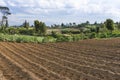 Ploughed Land