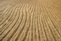 Ploughed sand