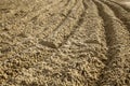Ploughed Sand