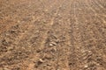 Ploughed soil Agriculture nature texture