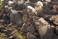 Ploughed soil