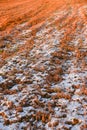 Ploughed soil with first snow in november