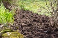 Ploughed soil in a garden
