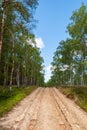 Ploughed-up dirt road in forest serving as an emergency route for authority services in case of fire. Royalty Free Stock Photo