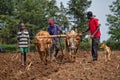 Ploughing a field