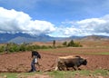 Ploughing the fields