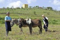 Ploughing in spring