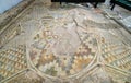 The Bishop`s Basilica and the roman mosaic in Plovdiv, Bulgaria
