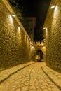 PLOVDIV, BULGARIA - SEPTEMBER 2 2016: Night photo of Cobblestone street under ancient fortress entrance of old town of Plovdiv