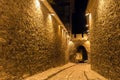 PLOVDIV, BULGARIA - SEPTEMBER 2 2016: Night photo of Cobblestone street under ancient fortress entrance of old town of Plovdiv