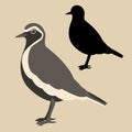 Plover bird vector illustration flat style black silhouette