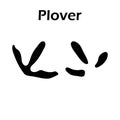 Plover Footprint