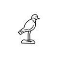 plover line icon. signs and symbols can be used for web, logo, mobile app, ui, ux