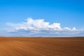 Plow land with brown ground and blue sky and clouds