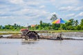 Plow Machine - Walking Tractor on rice field for work plow, Plow