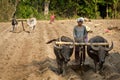 A plow pulled by buffalo in Burma (Myanmar)