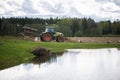 Plow tractor surrounded by birds seagulls and storks Royalty Free Stock Photo