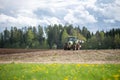 Plow tractor surrounded by birds seagulls and storks Royalty Free Stock Photo