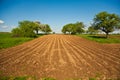 Plowed acres and trees with blue sky Royalty Free Stock Photo