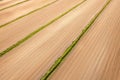 Plowed agricultural field aerial angle view