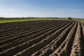 Plowed agricultural field. Landscape with agricultural land, recently plowed and prepared for the crop in sunny day with Royalty Free Stock Photo