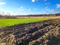 Plowed agricultural field ready for seed sowing, planting process. Newly ploughed field with furrows, green grass. Royalty Free Stock Photo