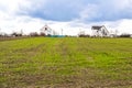 Plowed agricultural field ready for seed sowing, planting process. Newly ploughed field with furrows, green grass. Sunny