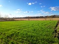 Plowed agricultural field ready for seed sowing. ploughed field with furrows, green grass Royalty Free Stock Photo