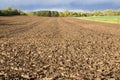 Plowed agricultural field surrounded by forest.