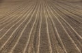 Plowed agricultural land Royalty Free Stock Photo
